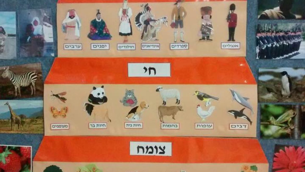 Неевреи и Галаха