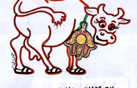 An expert in treating humans through amulets is not an expert in treating animals