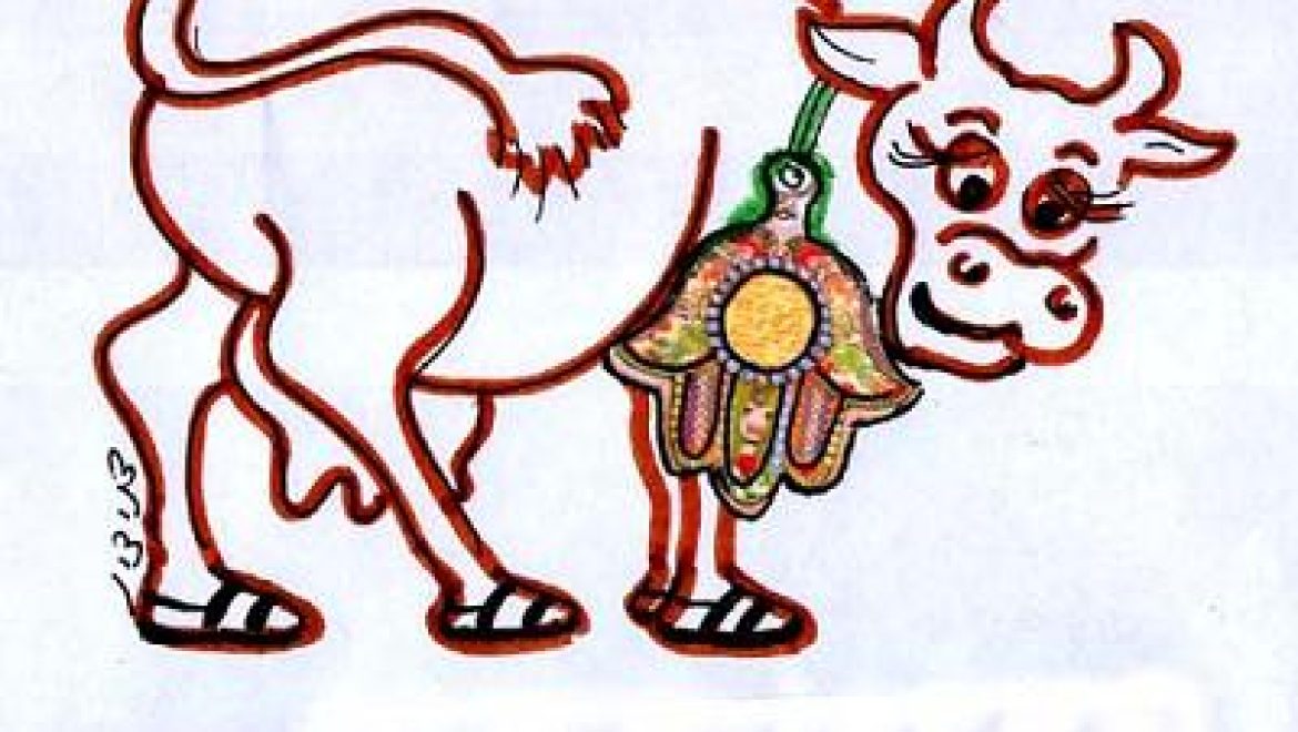 An expert in treating humans through amulets is not an expert in treating animals