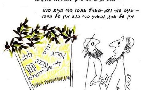 With what does one thatch a sukkah?