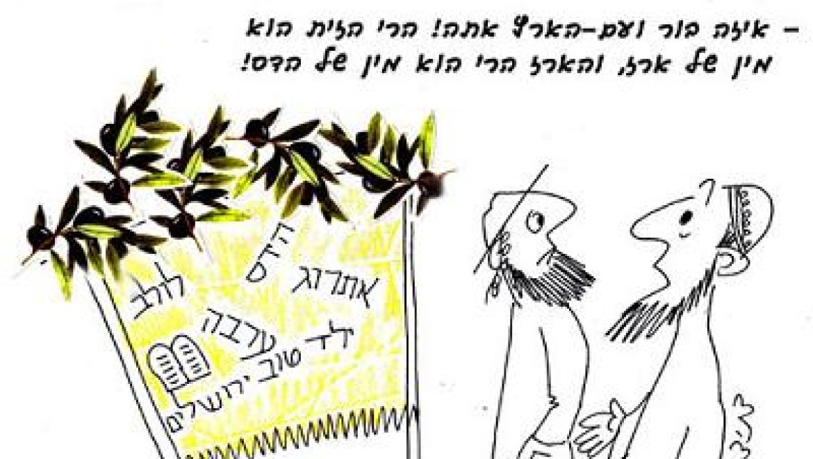 With what does one thatch a sukkah?