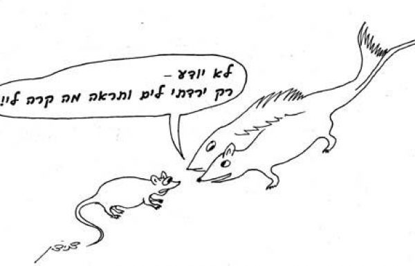 Does a sea mouse impurify and the law of a mouse which is half dirt and half flesh