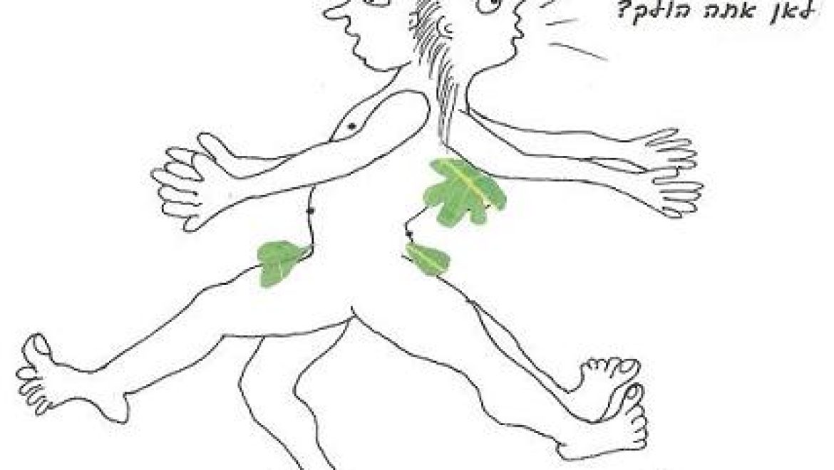 Бог сотворил женщину из хвоста Адама