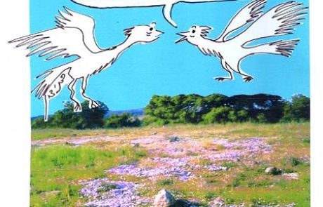 Worms which are permitted and which are forbidden for consumption