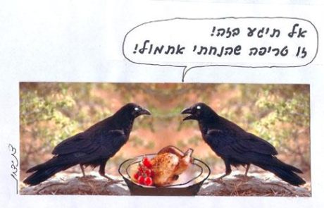 Kosher meat left unsupervised on a table is suspect