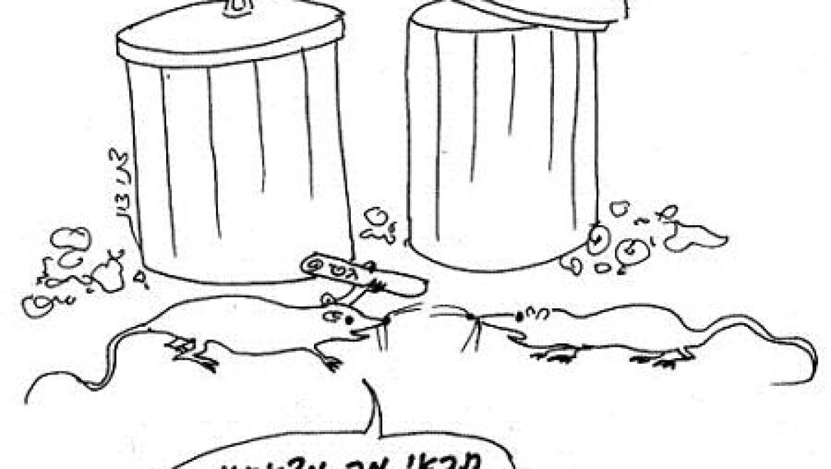 Can one give his wife a Torah scroll as a bill of divorcement?