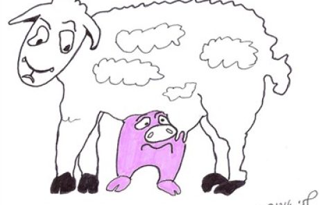 Is a pig which suckles from a ewe the ewe’s offspring?