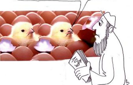 The second brood of a dove-cot are for sale, the first is not