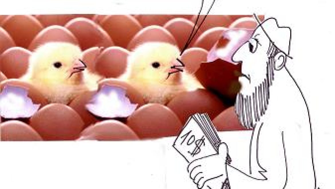 The second brood of a dove-cot are for sale, the first is not