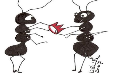 Do the ants have a queen?