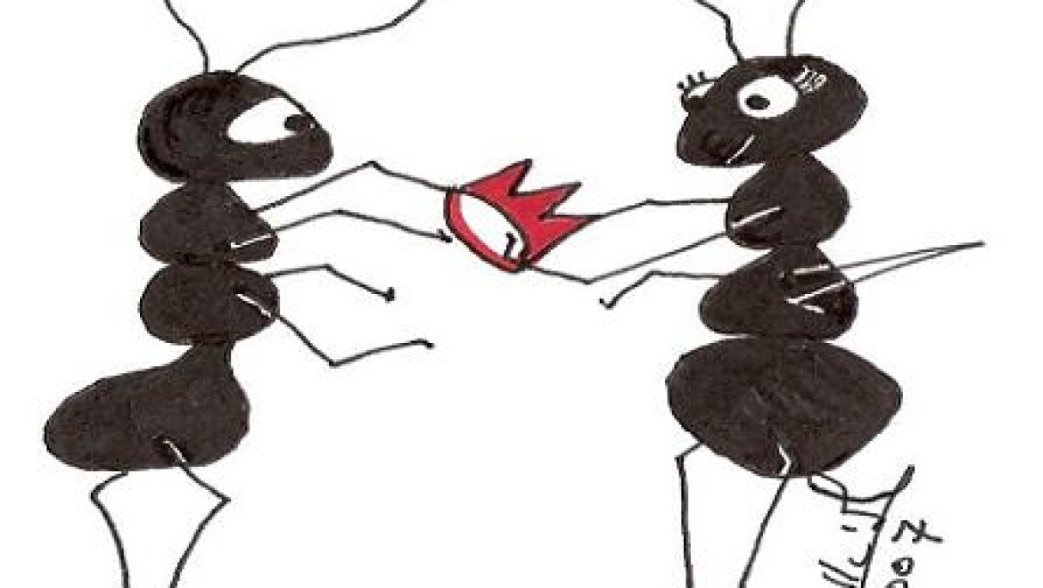 Do the ants have a queen?