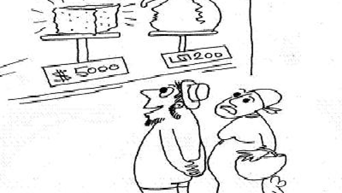 On the Sabbath, should one use pottery or a stone to wipe the anus?