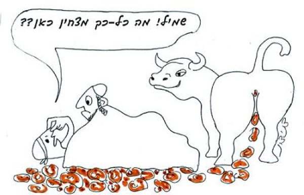 One who weds a woman with the excrement of a bull under a sentence of death