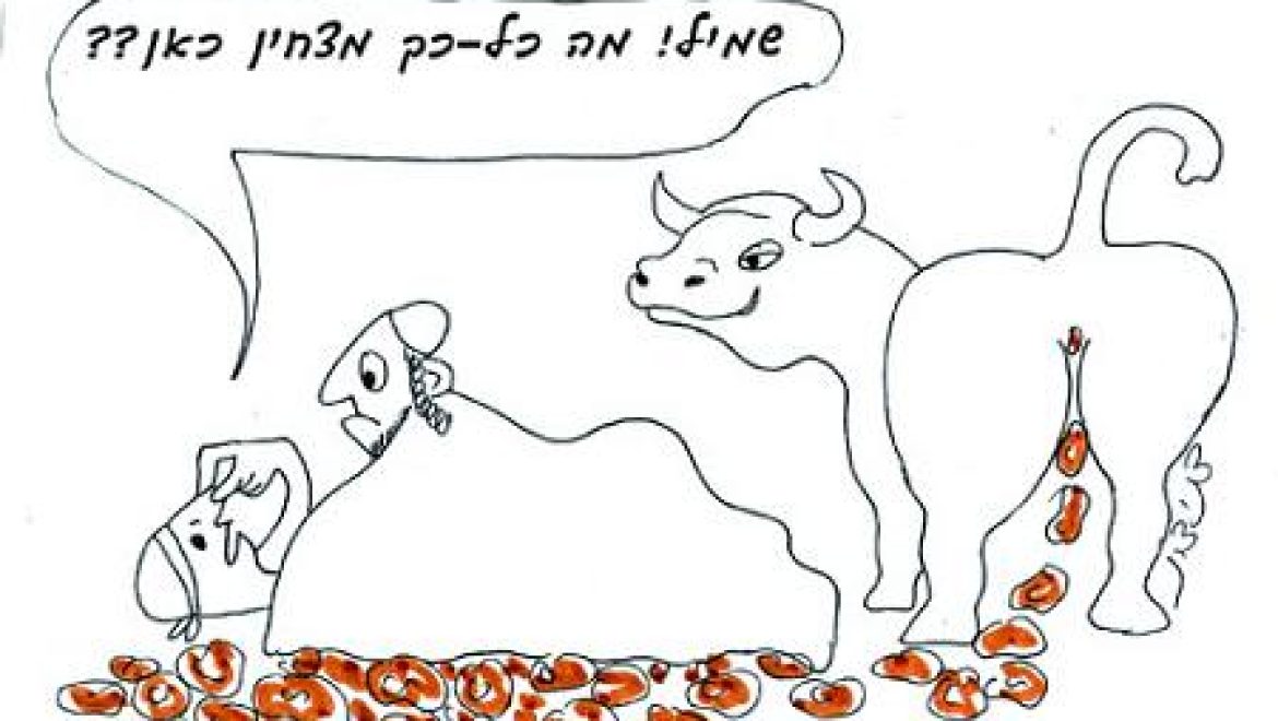 One who weds a woman with the excrement of a bull under a sentence of death