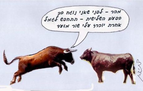 What is the rule for an ox which gored an ox, another ox, a third ox, and then a donkey and a camel?