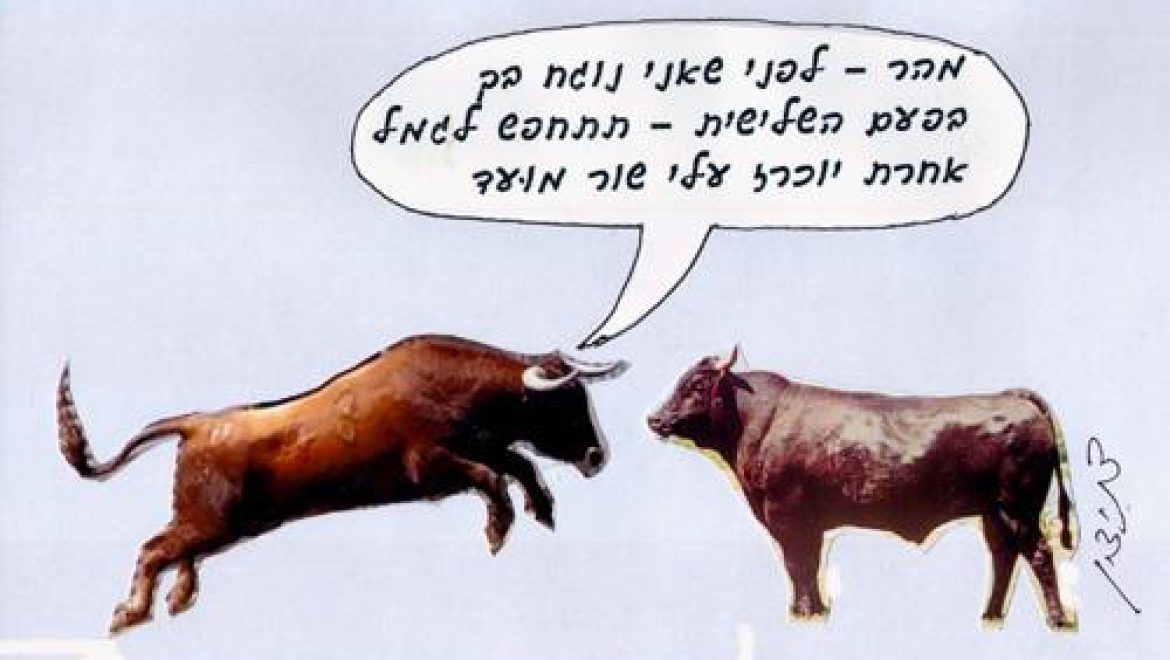 What is the rule for an ox which gored an ox, another ox, a third ox, and then a donkey and a camel?