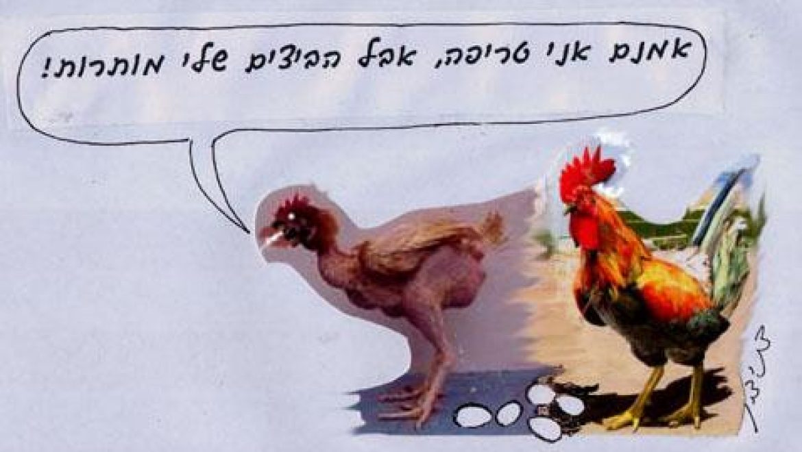 The fertilized eggs of a sick tereifah hen are permitted and the unfertilized are not