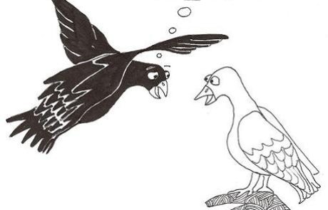 One who designated black and white doves for consumption and found that their places were switched