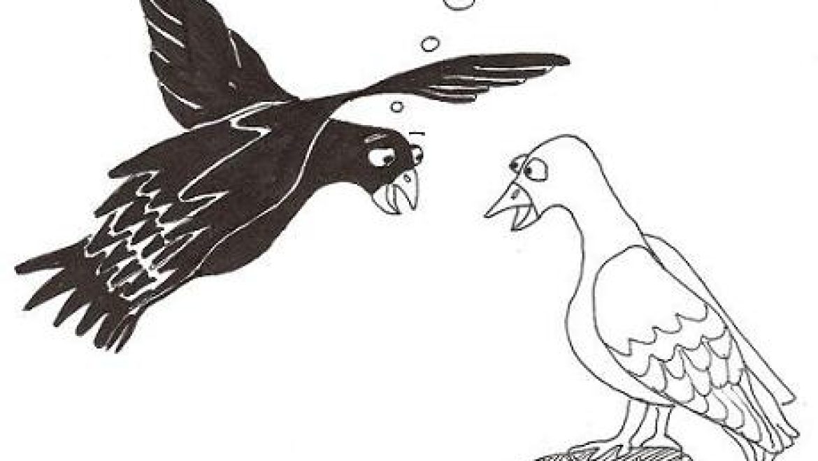 One who designated black and white doves for consumption and found that their places were switched