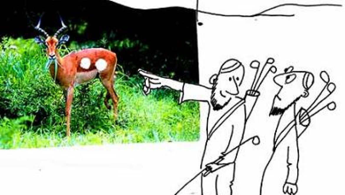 Яйца самки <i>яхмора </i>(разновидность антилопы) – это порождения семени оленя