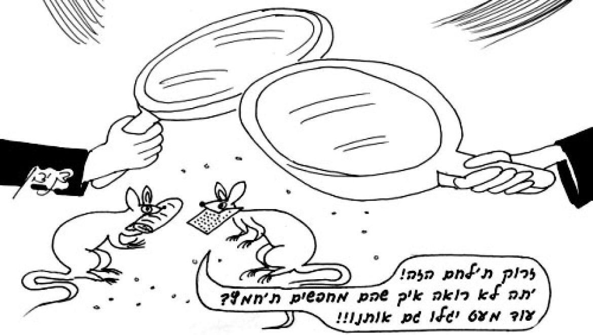 Две мыши, одна с мацой во рту, другая с <i>хамецом </i>во рту, вошли в два разных дома