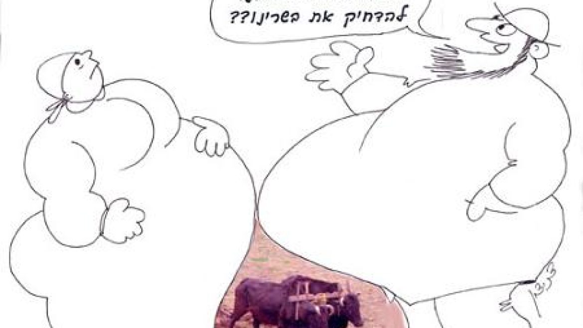 Can a particularly fat couple have full sexual relations?