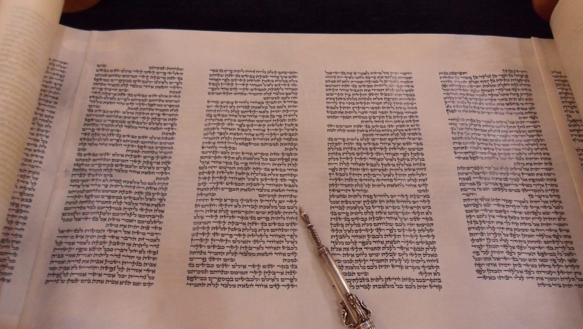 The Variety of Torah Texts