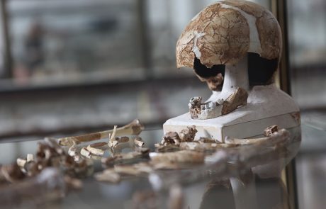 Archeological Findings Help Determine the Era in which the Torah Was Written