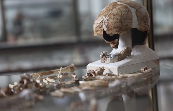 Archeological Findings Help Determine the Era in which the Torah Was Written