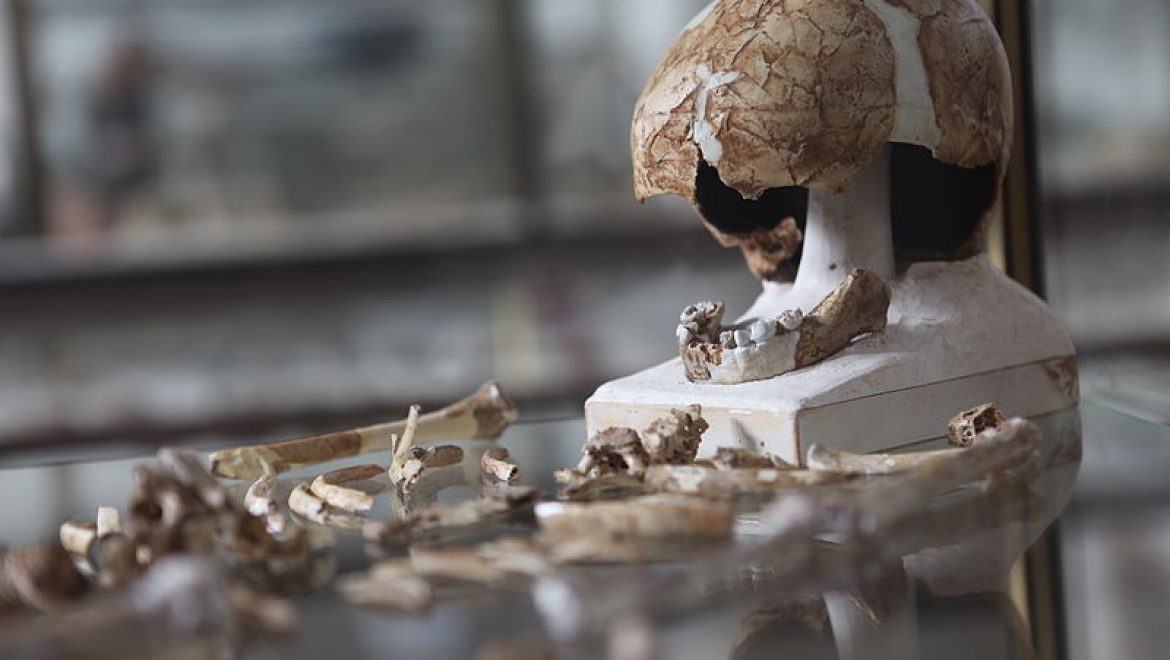 Archeological Findings Help Determine the Era in which the Torah Was Written