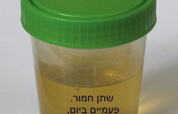 רפואות בתלמוד הבבלי