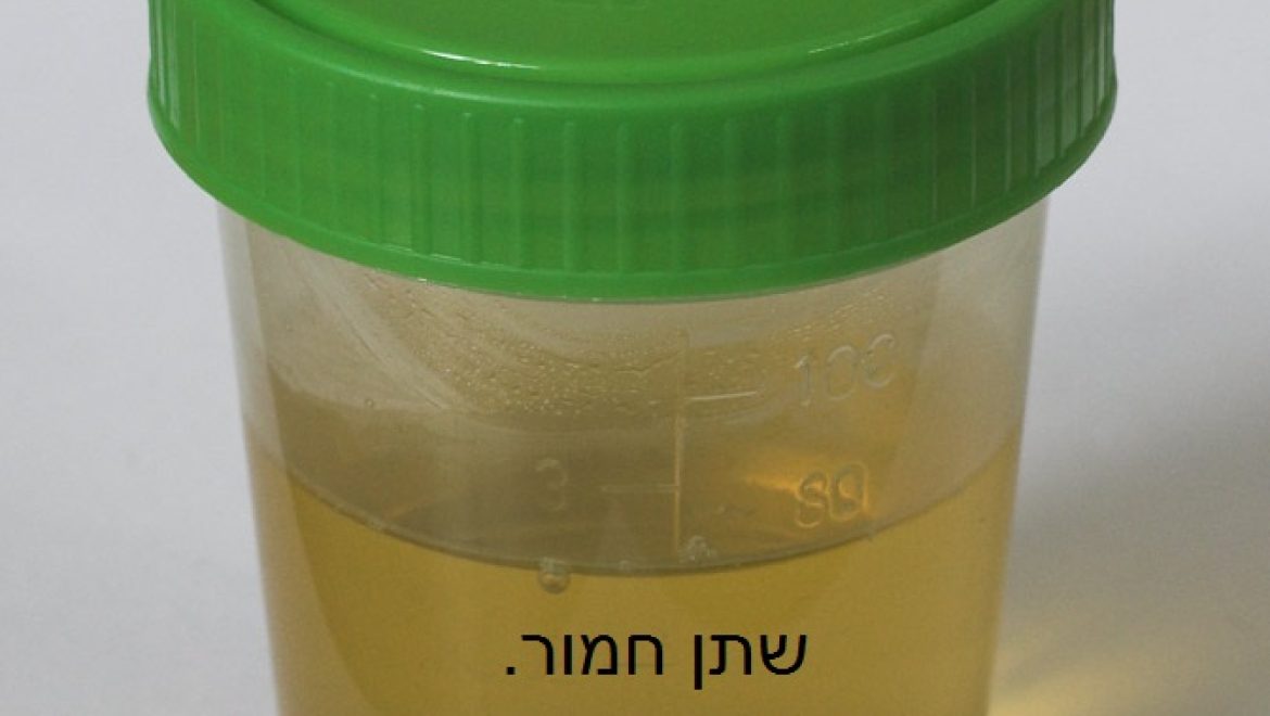 רפואות בתלמוד הבבלי