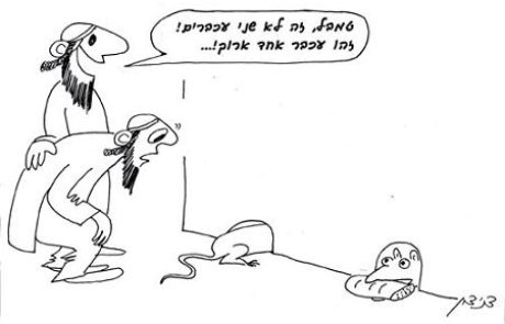 White mouse, black mouse, leaven and the rat