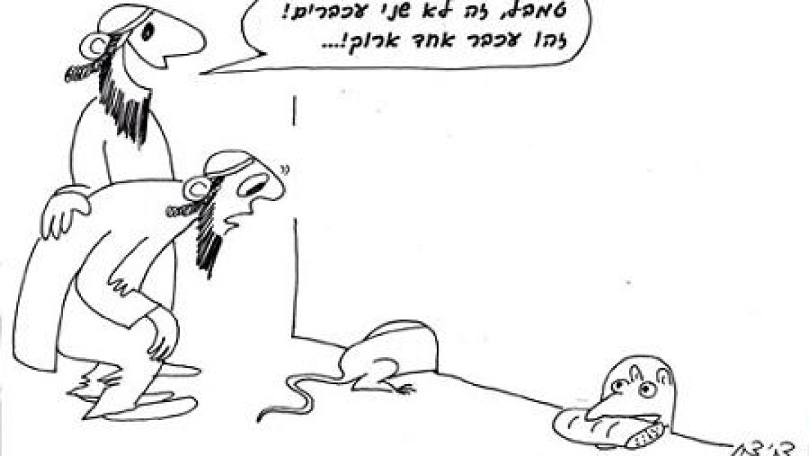 עכבר לבן, עכבר שחור, חמץ וחולדה