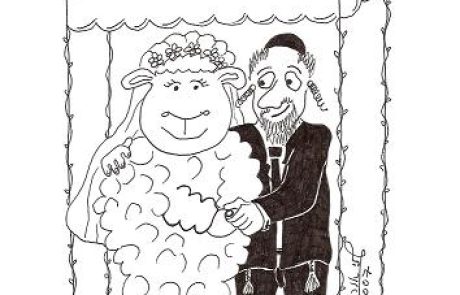 A woman gives birth to a lamb and the father marries the lamb off — may the husband of the lamb marry the sister of the lamb?