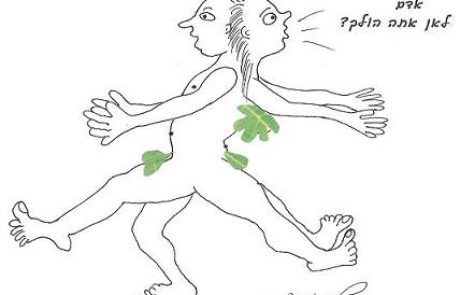 אלוהים יצר את האישה מזנב האדם