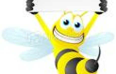 טיפול בעקיצות