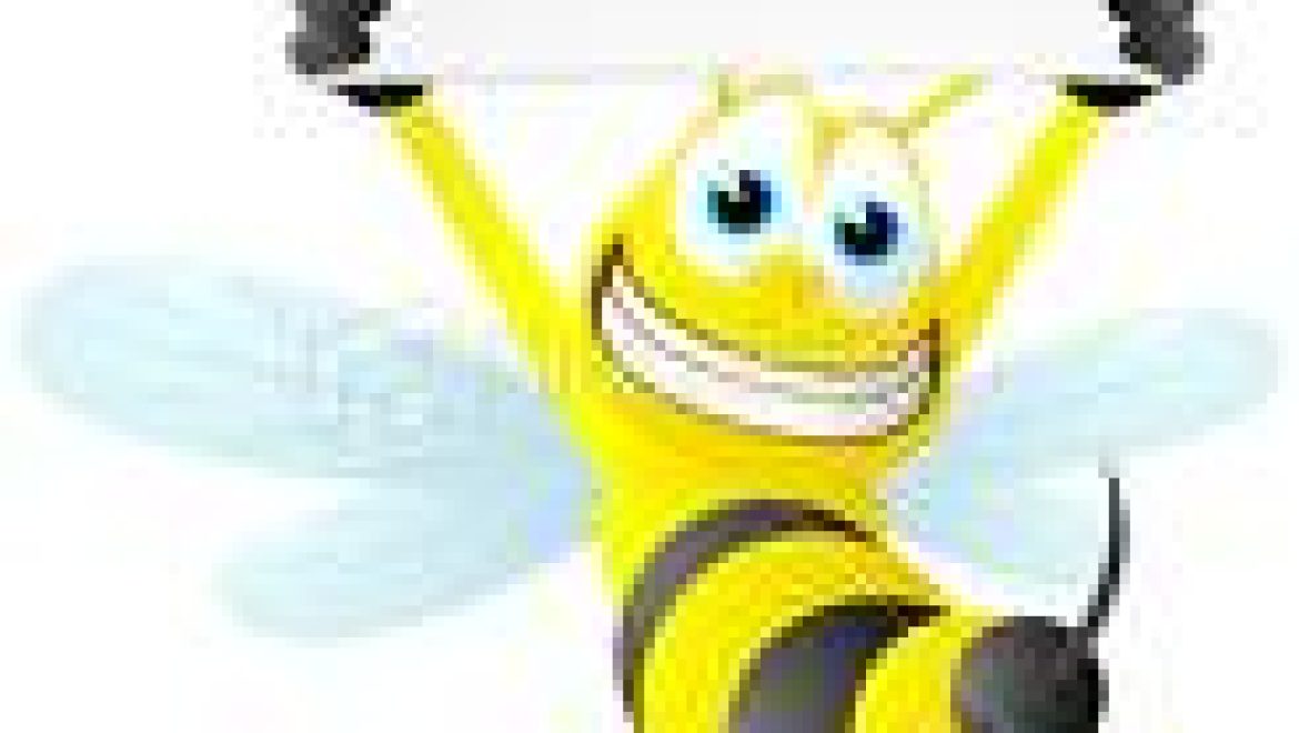 טיפול בעקיצות