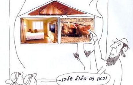 האנטומיה של רחם האישה ודם שנמצא בפרוזדור