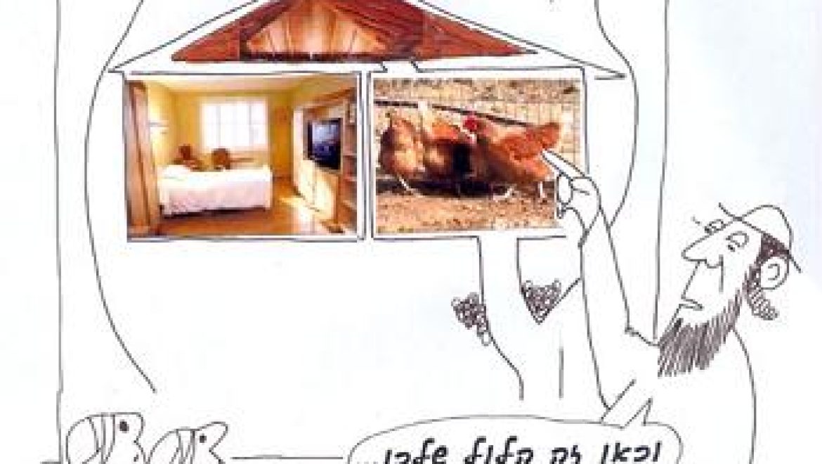 האנטומיה של רחם האישה ודם שנמצא בפרוזדור