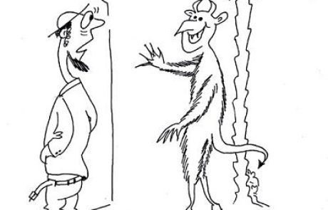 העובר מעל מים שנשפכו מסכן את חייו