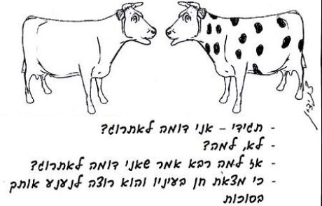 אתרוג שתוכו הרקיב וקליפתו קיימת האם דינו כריאת בהמה