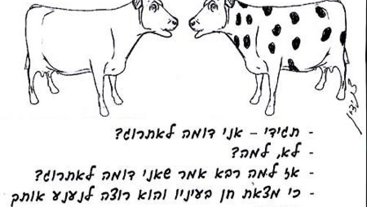 אתרוג שתוכו הרקיב וקליפתו קיימת האם דינו כריאת בהמה