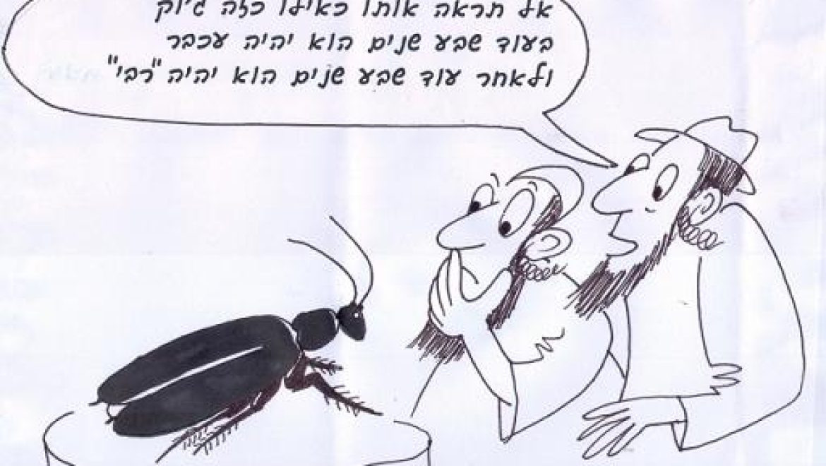 ברדלס הוא צבוע וצבוע נעשה עטלף