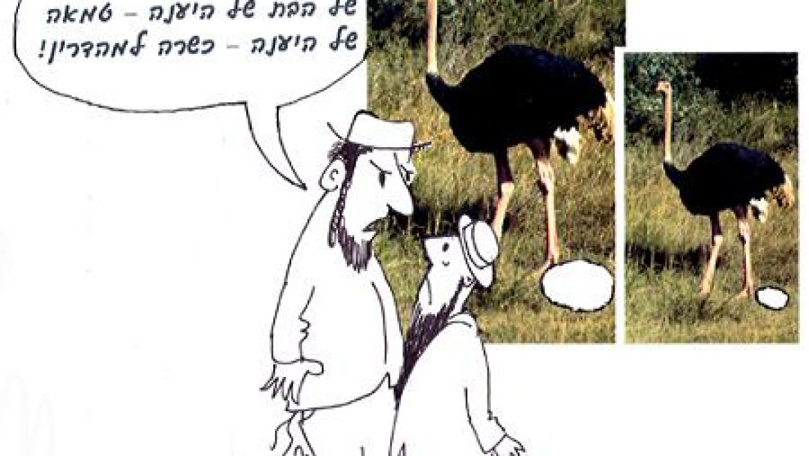 מניין שביצת עוף טמא אסורה באכילה? מבת יענה.