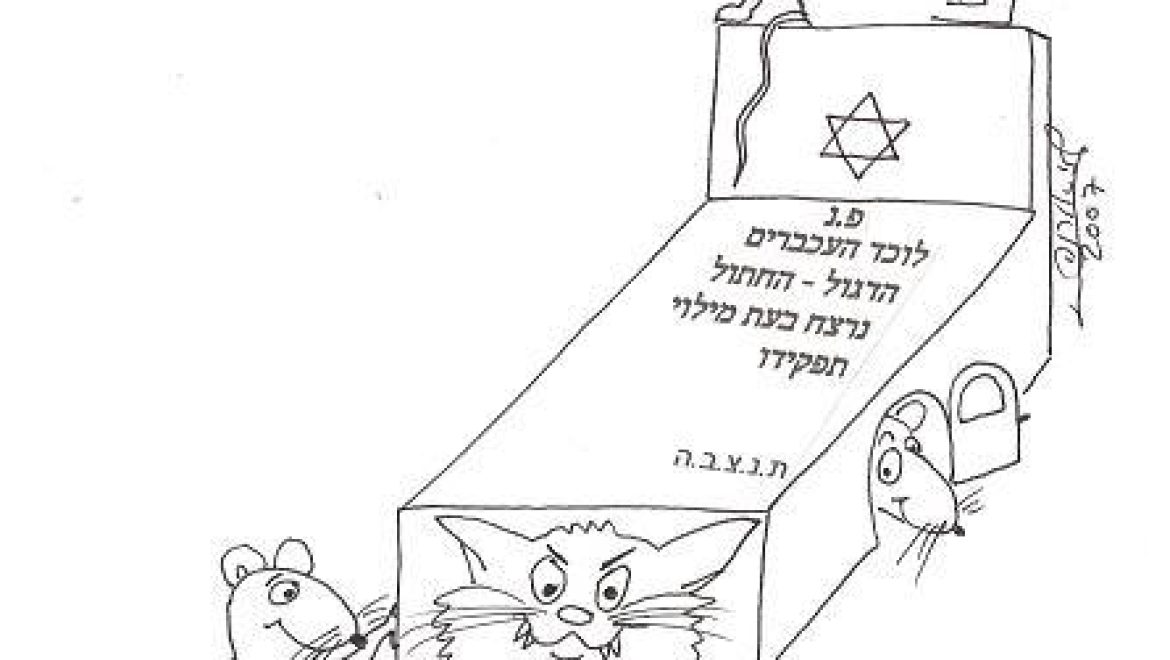 השואל חתול והרגוהו עכברים