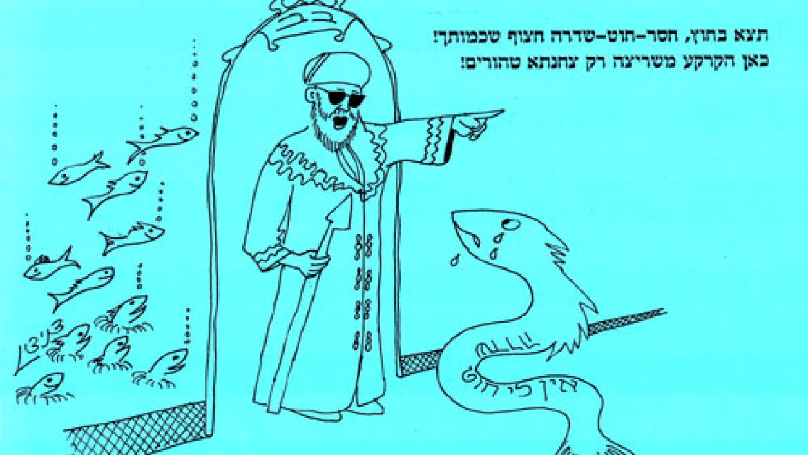 דגים מותרים באכילה מנהר שאינו משריץ מקרקעיתו דגים טמאים