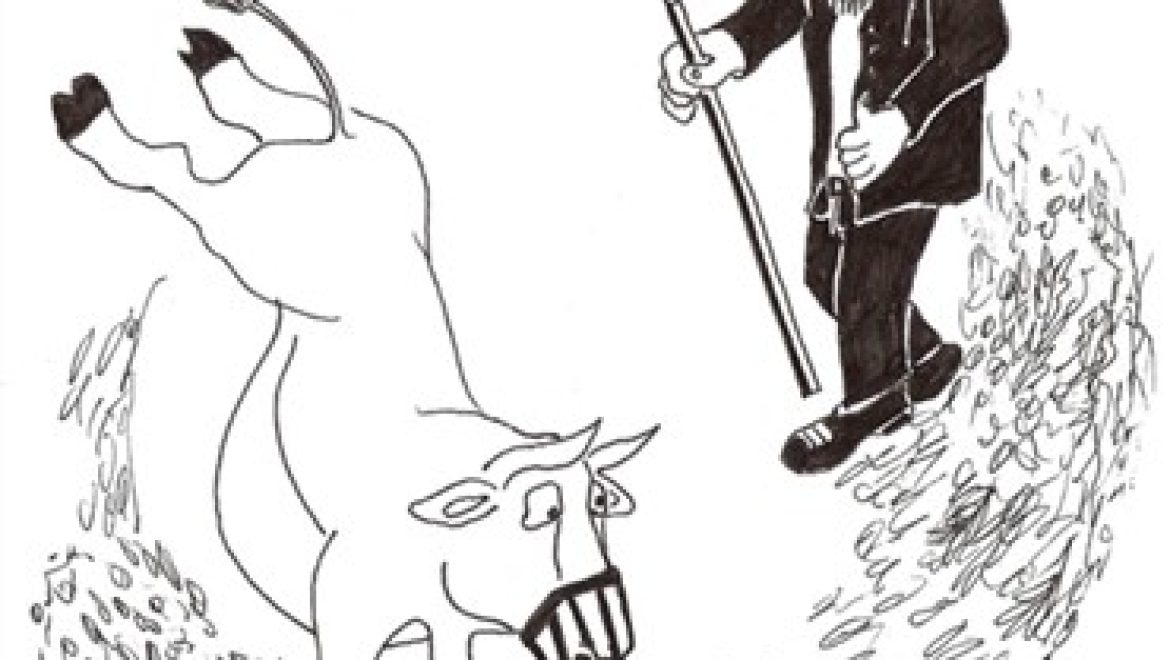 הדש חיטים עם אווזים האם מותר לחסום פיהם שלא יאכלו?