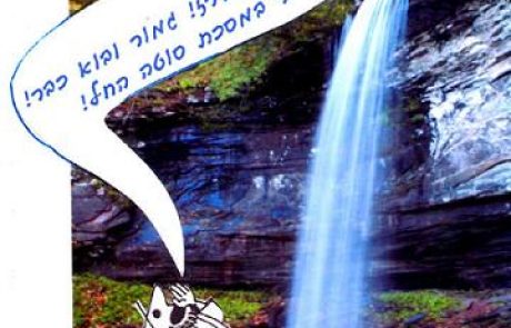 גודל איבר מינו של שמשון וכמות זרעו