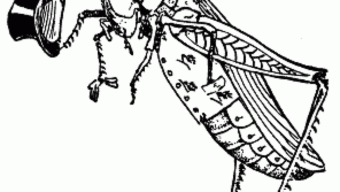 תרופה המועילה לחכמה לקראת לימוד